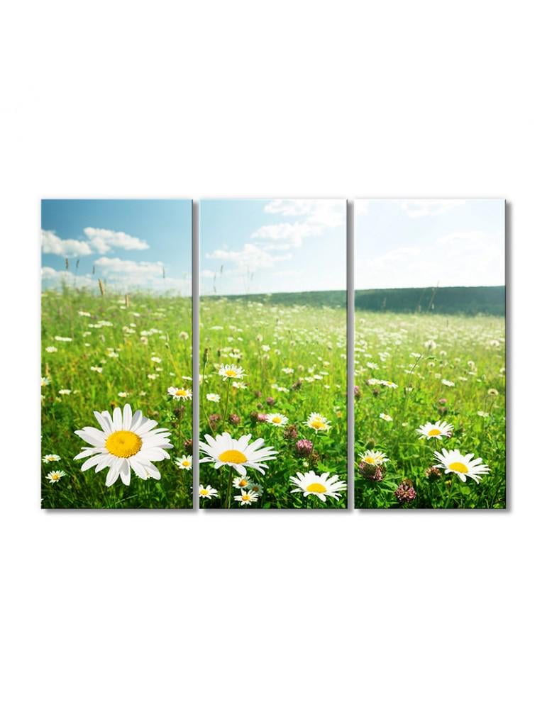 Картина модульная Поле полевых летных ромашек 3 модуля 50x75 см