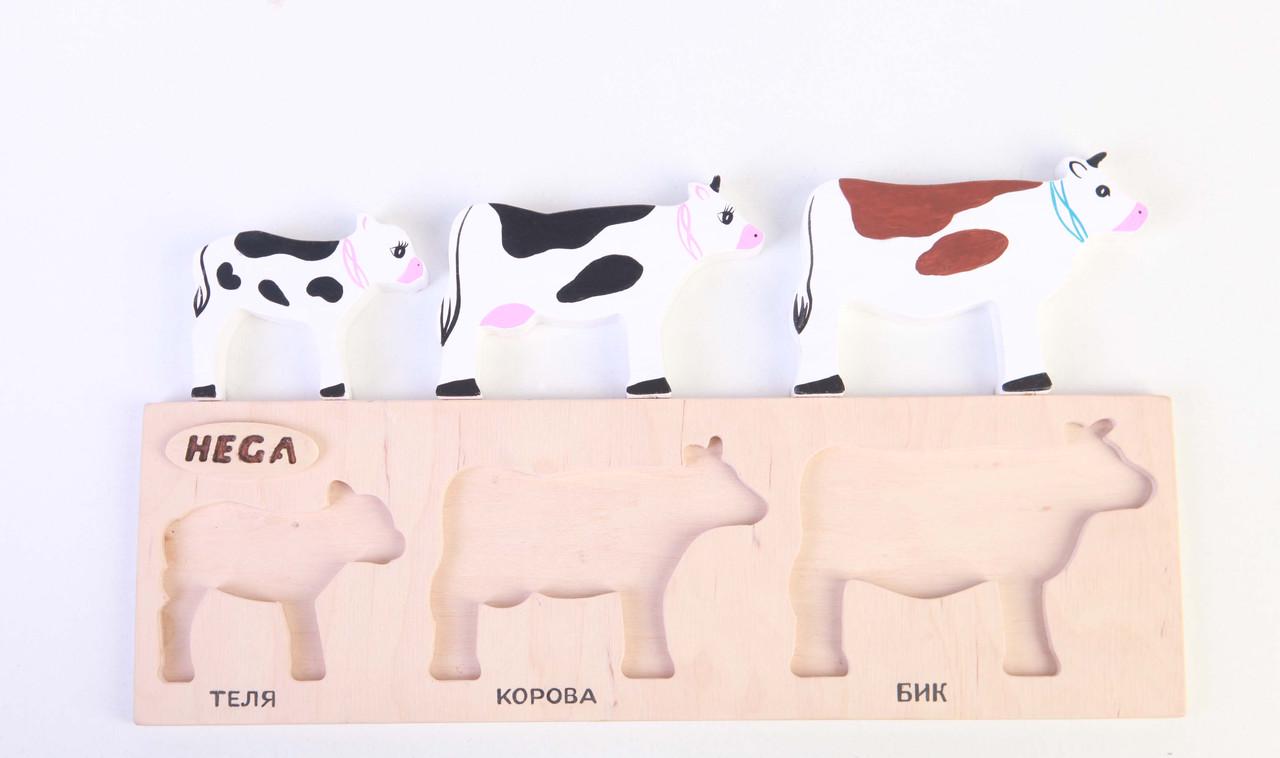 Набор рамка-вкладыш HEGA Коровы с объёмными фигурками и карточками(123) - фото 5 Набор рамка-вкладыш HEGA Коровы с объёмными фигурками и карточками(123) - фото 5