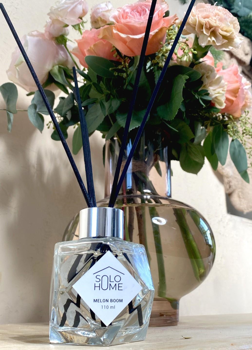 Аромадиффузор Solo Home Melon Boom 110 мл (SH-10-400)