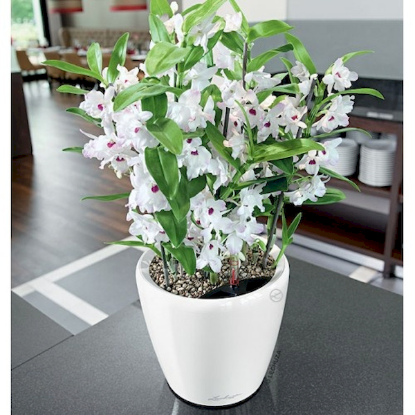 Вазон Lechuza CLASSICO LS 21 Черный - фото 5