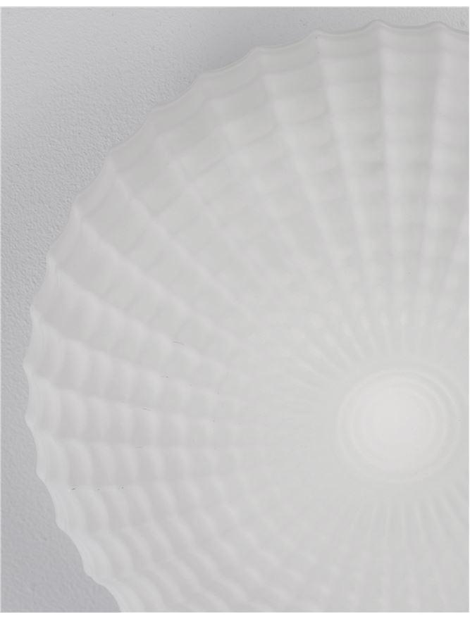 Светильник Nova Luce Clam (9738256) - фото 4