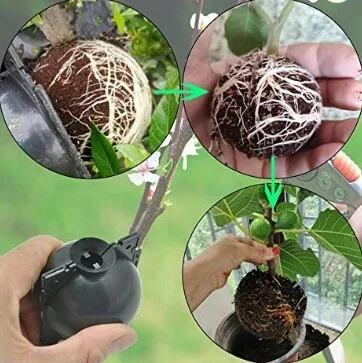 Шар для укоренения растений для бережного выращивания корней растений M-8 см 6 шт. (Y00611-2) - фото 4 Шар для укоренения растений для бережного выращивания корней растений M-8 см 6 шт. (Y00611-2) - фото 4