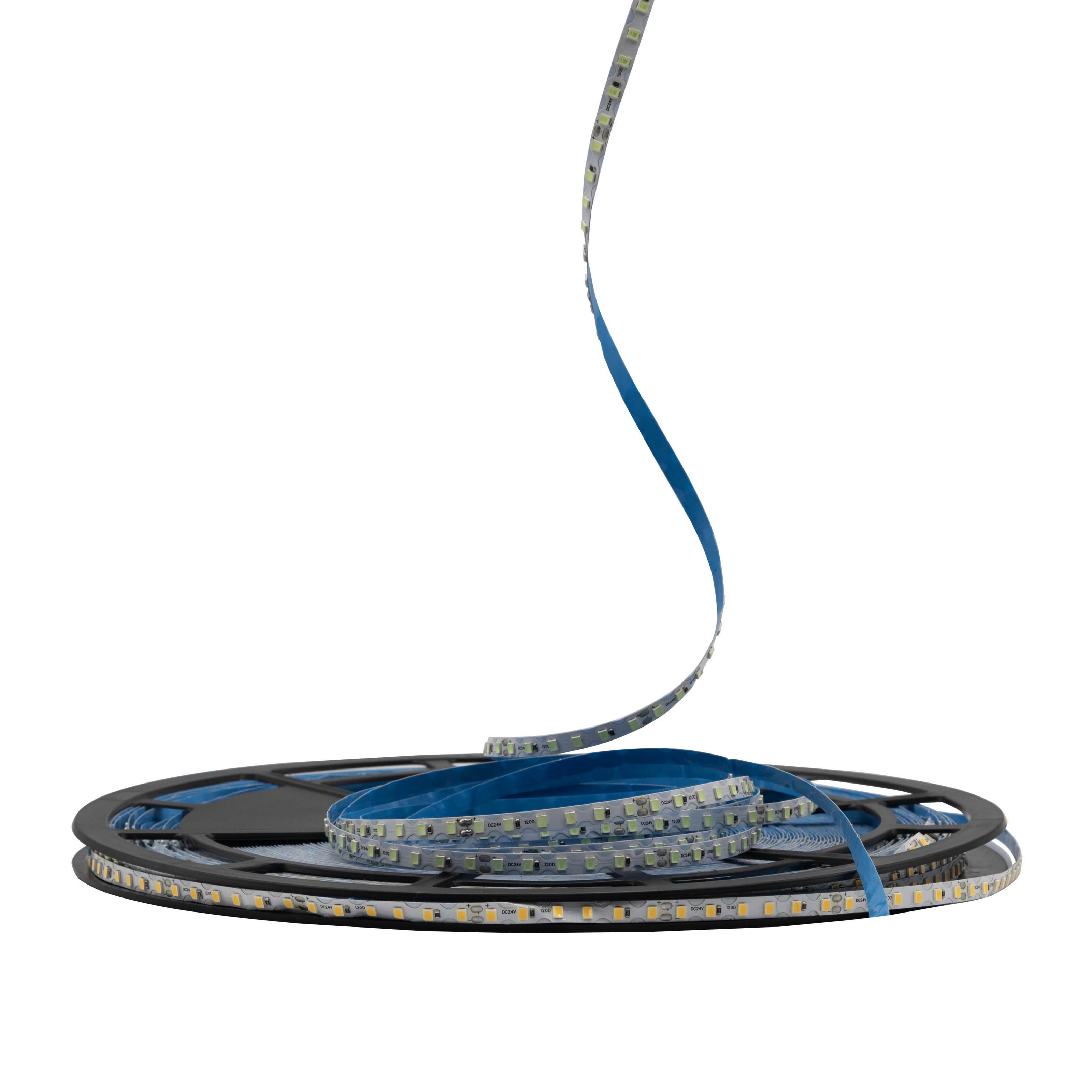 Светодиодная лента Prolum IP20 2835/120 S-TYPE Series-S 24V 6 мм Голубой Лед (28522788) - фото 3 Светодиодная лента Prolum IP20 2835/120 S-TYPE Series-S 24V 6 мм Голубой Лед (28522788) - фото 3
