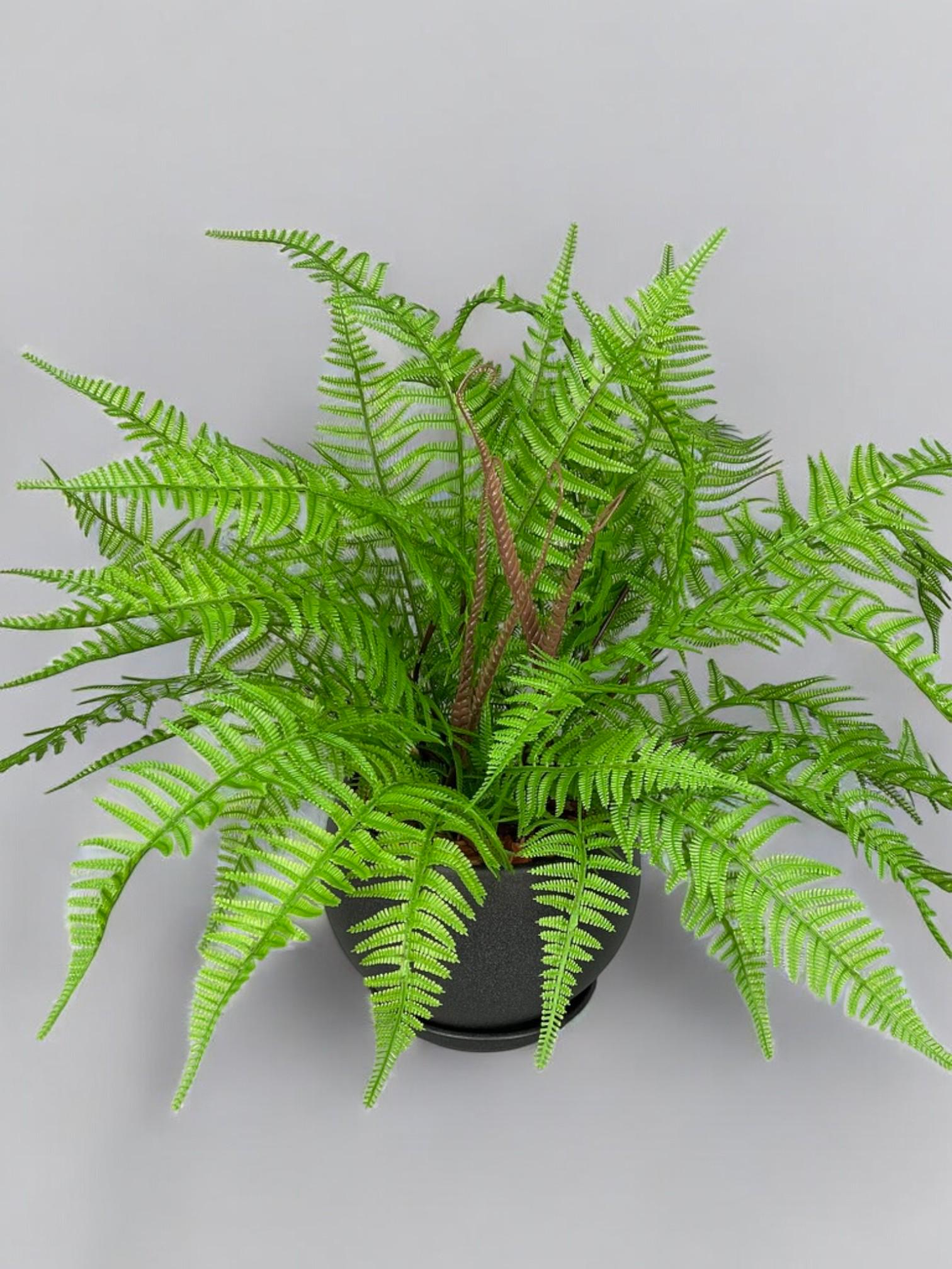 Композиция из искусственного папоротника в черном керамическом горшке Зеленый (А202) - фото 2 Композиция из искусственного папоротника в черном керамическом горшке Зеленый (А202) - фото 2