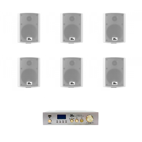 Комплект фонового озвучування PAMP-60-BT6 (12289)
