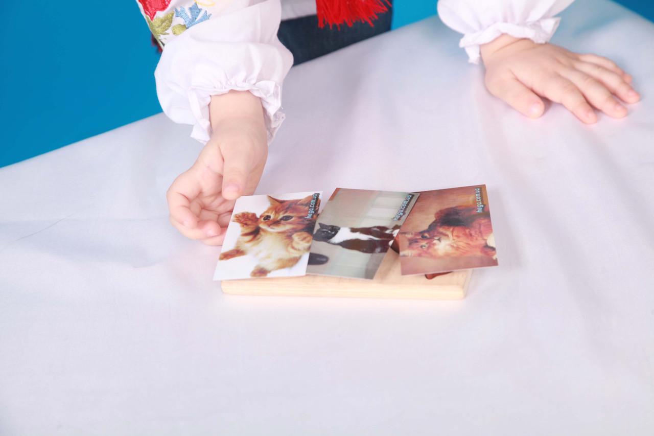 Рамка-вкладыш HEGA Коты с объёмными фигурками (125) - фото 7 Рамка-вкладыш HEGA Коты с объёмными фигурками (125) - фото 7