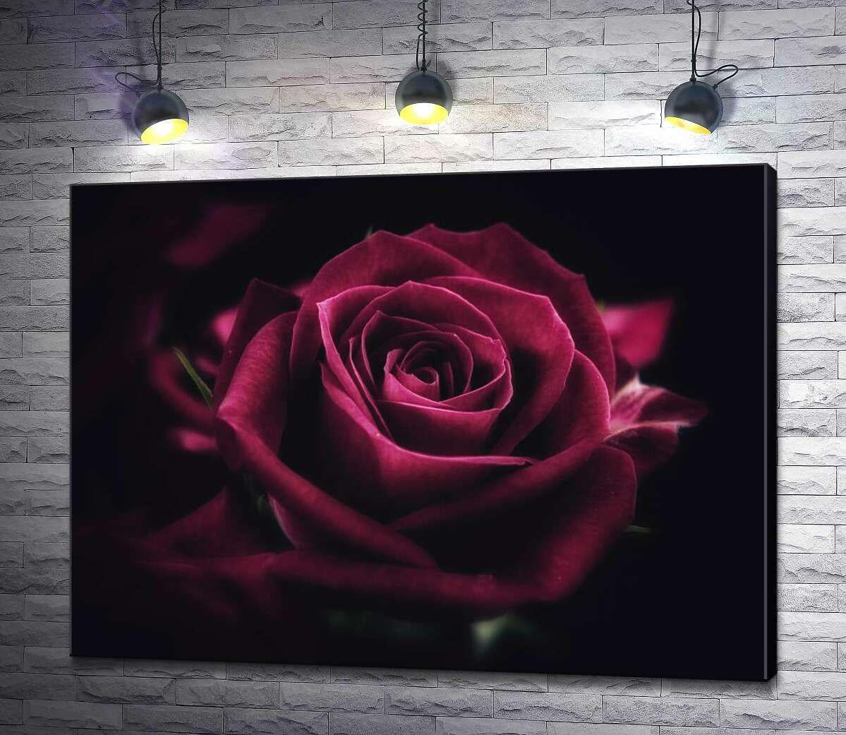 Картина ArtPoster Роскошный цветок розы оттенка румба 130x98 см Модуль №1 (001023) Картина ArtPoster Роскошный цветок розы оттенка румба 130x98 см Модуль №1 (001023)