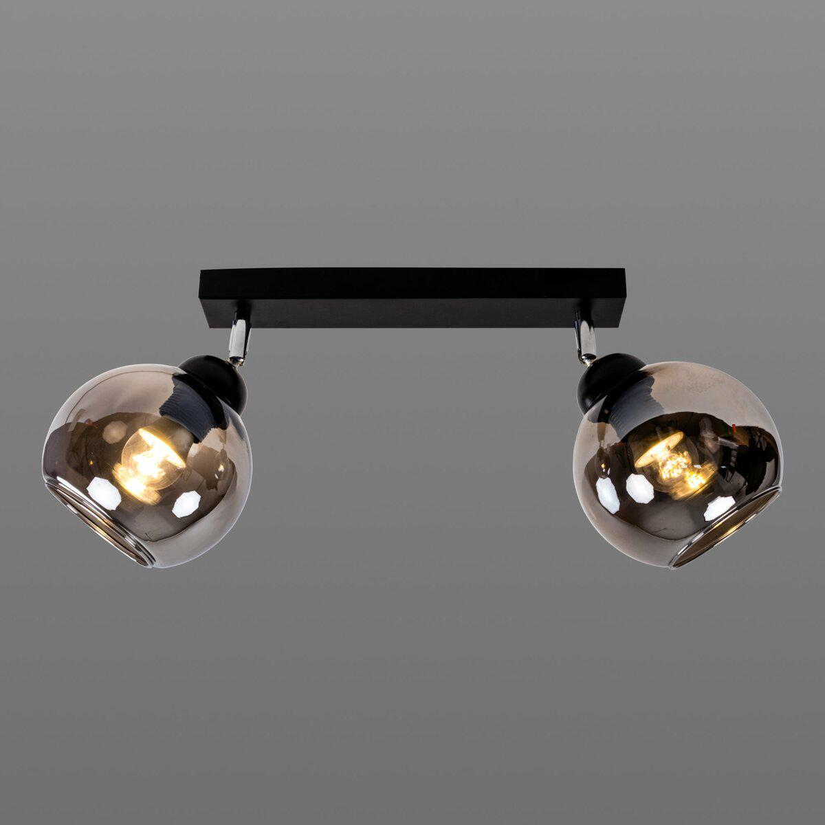 Світильник поворотний Light House SRS-19664/2 BK/SM плафон димчастий Чорний