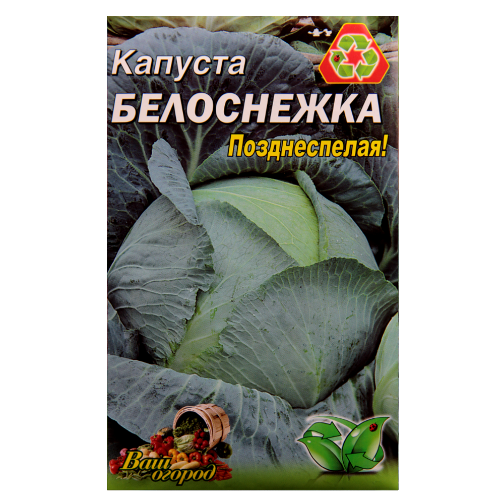 Семена капусты Белоснежка поздняя 5 г (23000)