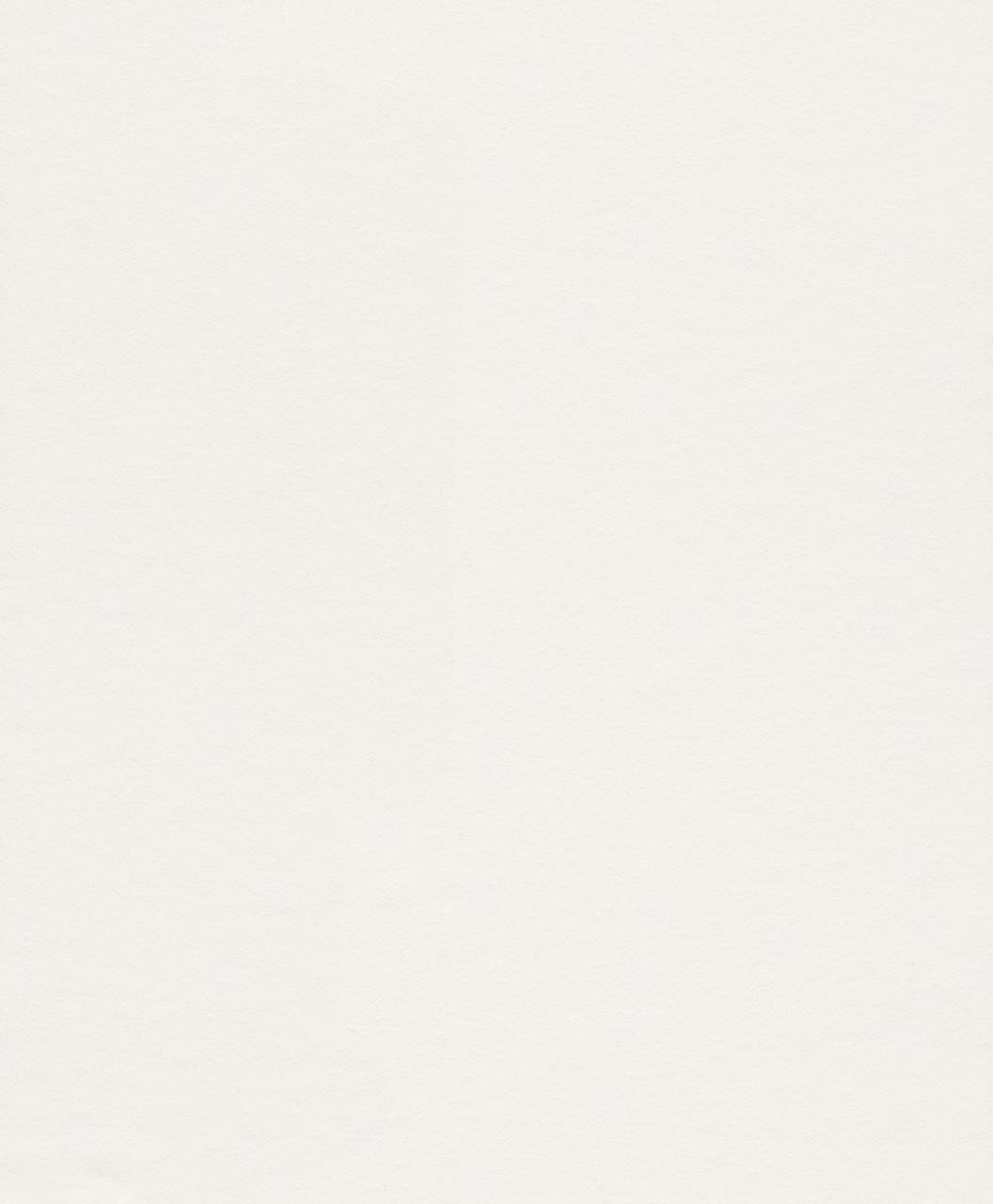 Малярний флізелін під фарбування Rasch Vlies 165814 150 гр. 25х1,06 м