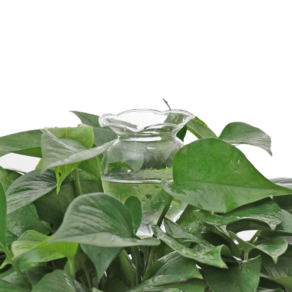 Колба стеклянная для автоматического полива растений в вазонах в форме цветка (TA0054) - фото 3 Колба стеклянная для автоматического полива растений в вазонах в форме цветка (TA0054) - фото 3