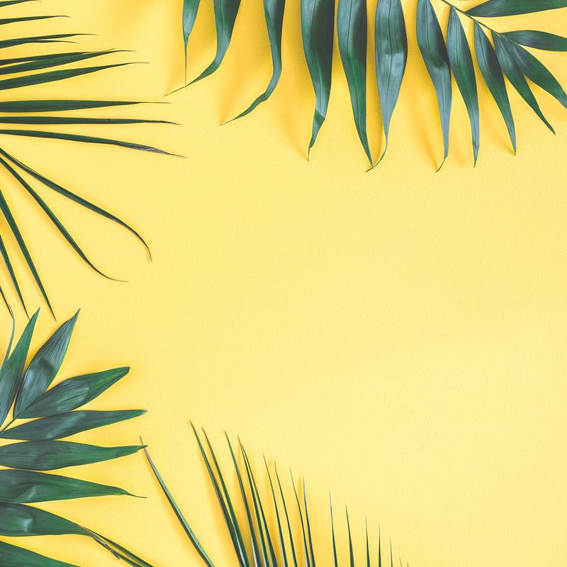 Фотофон виниловый Frontlit 450 г/м2 60x60 см №551497 Фотофон виниловый Frontlit 450 г/м2 60x60 см №551497