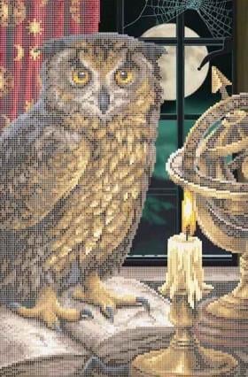 Схема для вышивки бисером Золотая Подкова Мудрая сова ЗПТ-028 (2957)