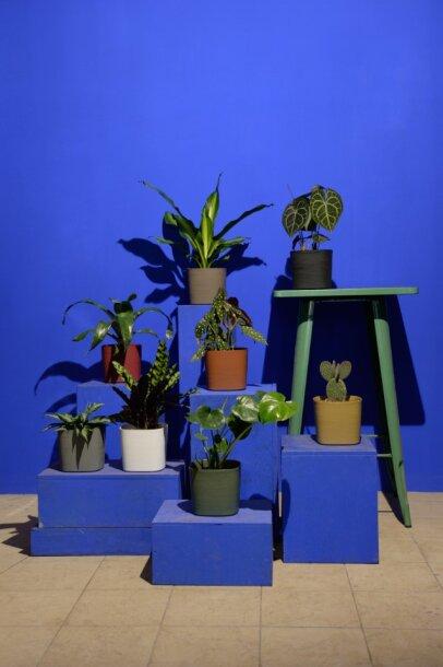 Вазон пластиковий TeraPlast CAPRI CLOUD 24 см (A-014749) - фото 4 Вазон пластиковий TeraPlast CAPRI CLOUD 24 см (A-014749) - фото 4