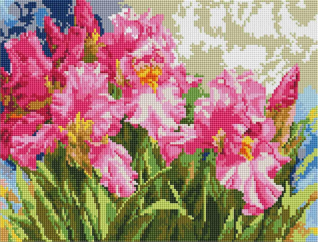 Набор алмазной мозаики ColoArt Розовые ирисы 30х40 см (ST466)
