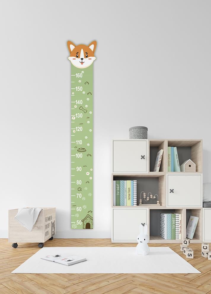 Ростомір коргі (7098-8)