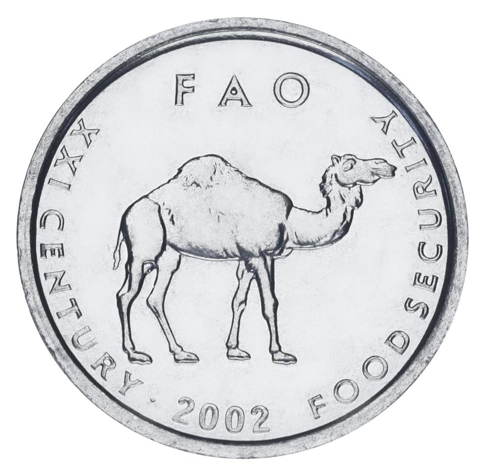 Коллекционная монета Сомали 10 шиллингов 2002 AU-UNC FAO ФАО Верблюд (М20614)