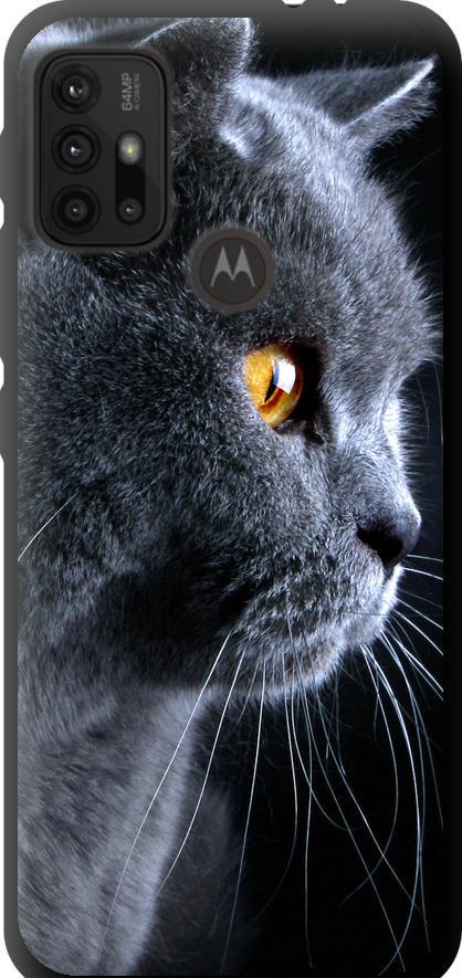 Чехол на Motorola Moto G10 Красивый кот (3038b-2319-42517)