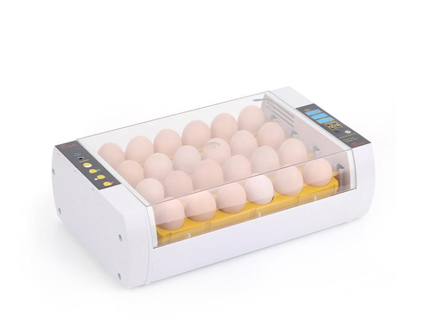 Інкубатор автоматичний HHD 24 (11276)