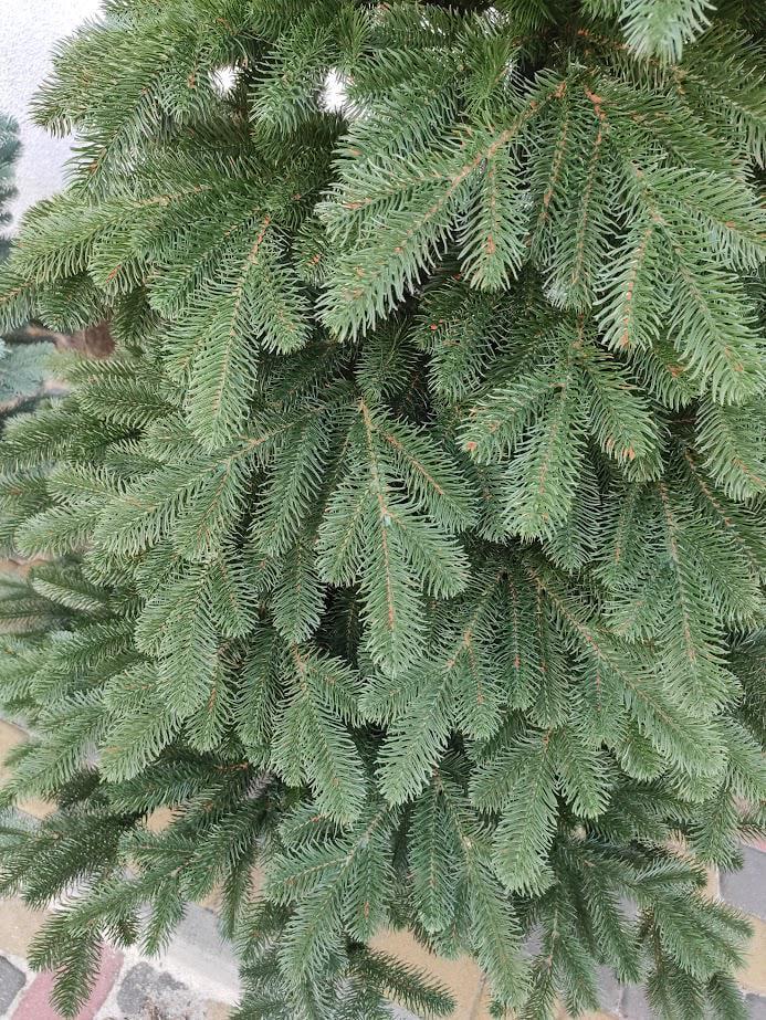 Штучна ялинка лита Елітна з підставкою 2,50 м Зелений (NYT15297) - фото 15 Штучна ялинка лита Елітна з підставкою 2,50 м Зелений (NYT15297) - фото 15