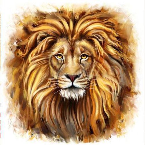 Алмазная мозаика на подрамнике Взгляд льва 40x40 см (DM.051-pdr)