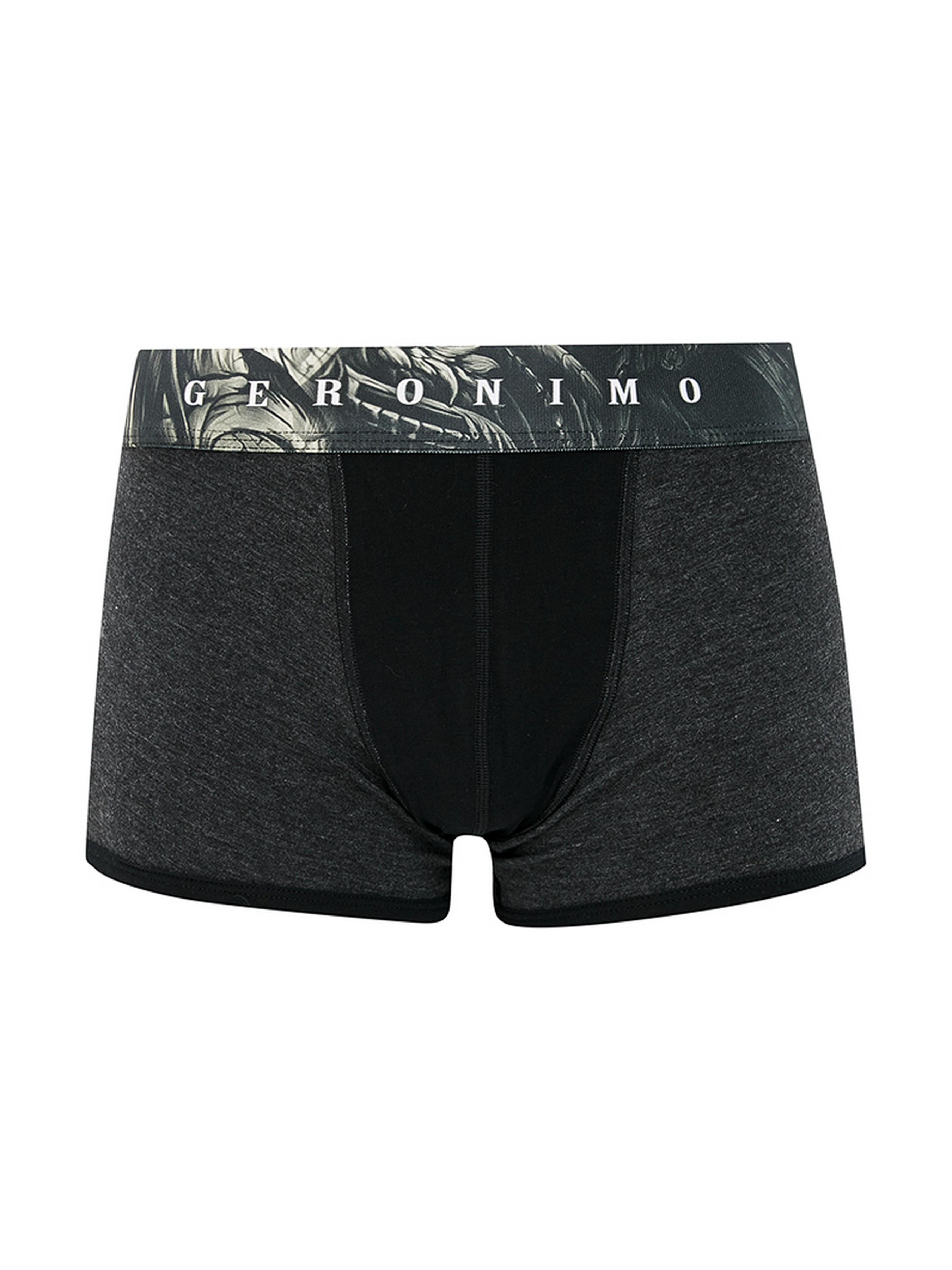 Трусы боксеры Geronimo 17571b1 XL Graphite (3800205837862) - фото 4