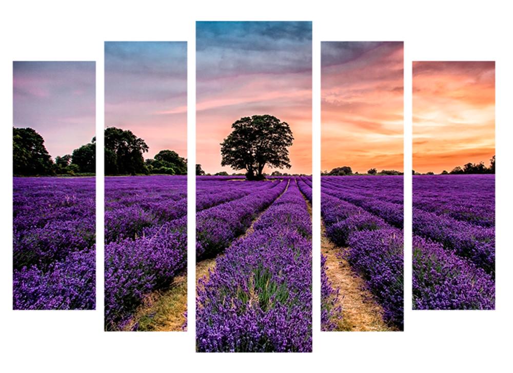 Картина модульная на холсте DK Лавандовое поле 108х80 см (DKPM5-Лавана-1)