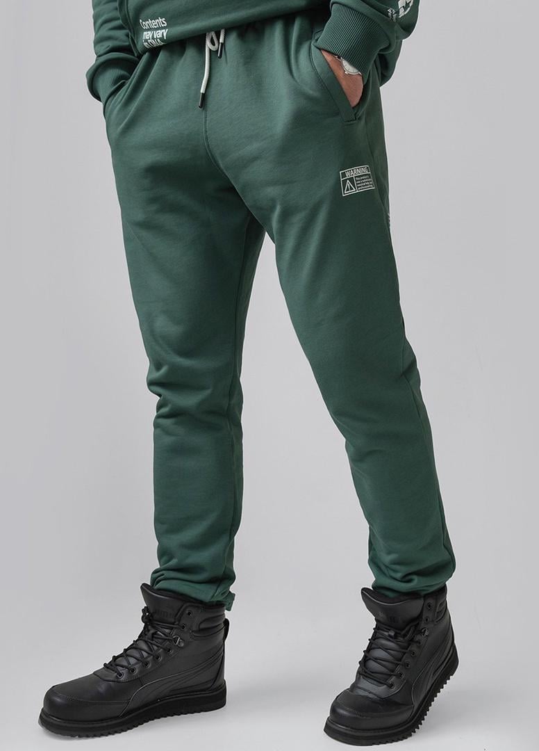 Спортивные штаны мужские Power р. 48 Зеленый (101957_48)