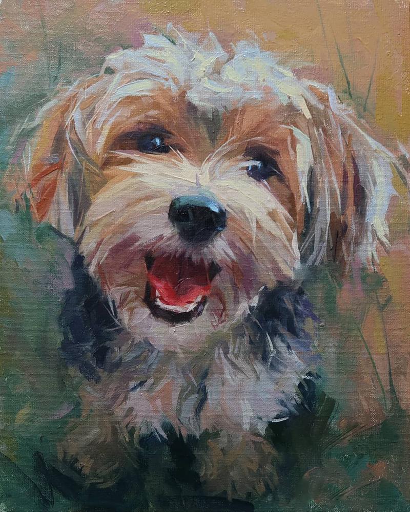 Алмазная мозаика Лохматый песик DIY-DW00766 полная выкладка 30x40 см (26958)