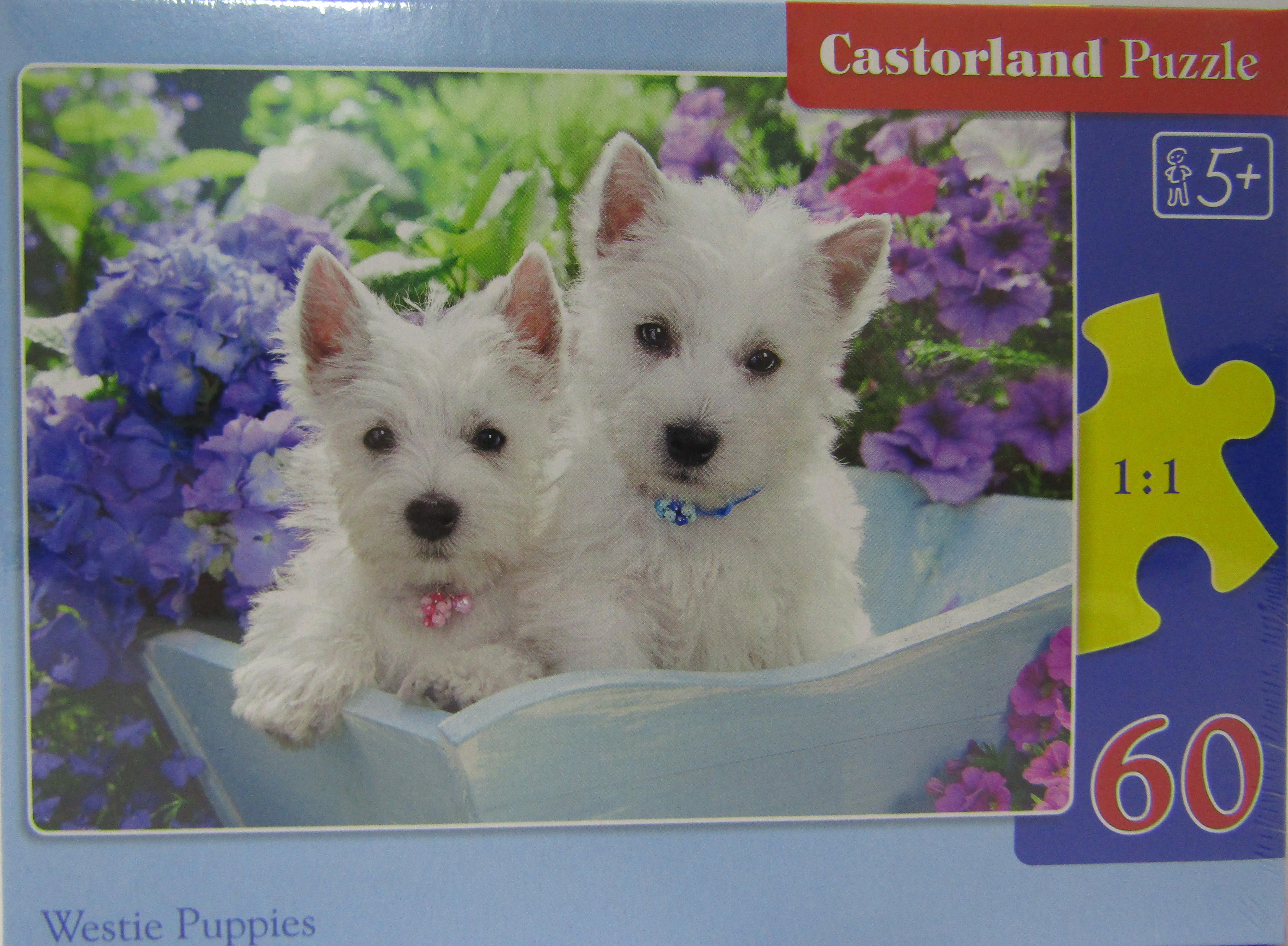 Пазли Castorland 060 Цуценята 32х23 см (B-066100)