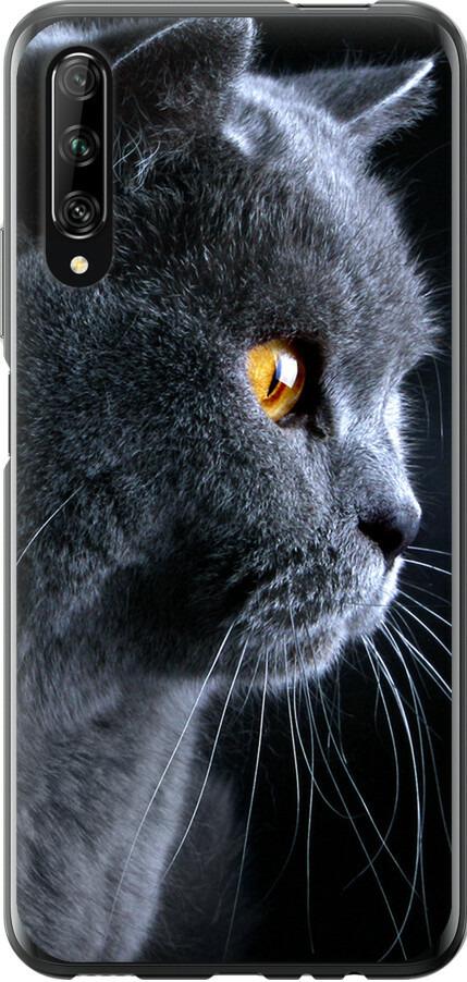 Чехол на Huawei P Smart Pro Красивый кот (3038u-1906-42517)