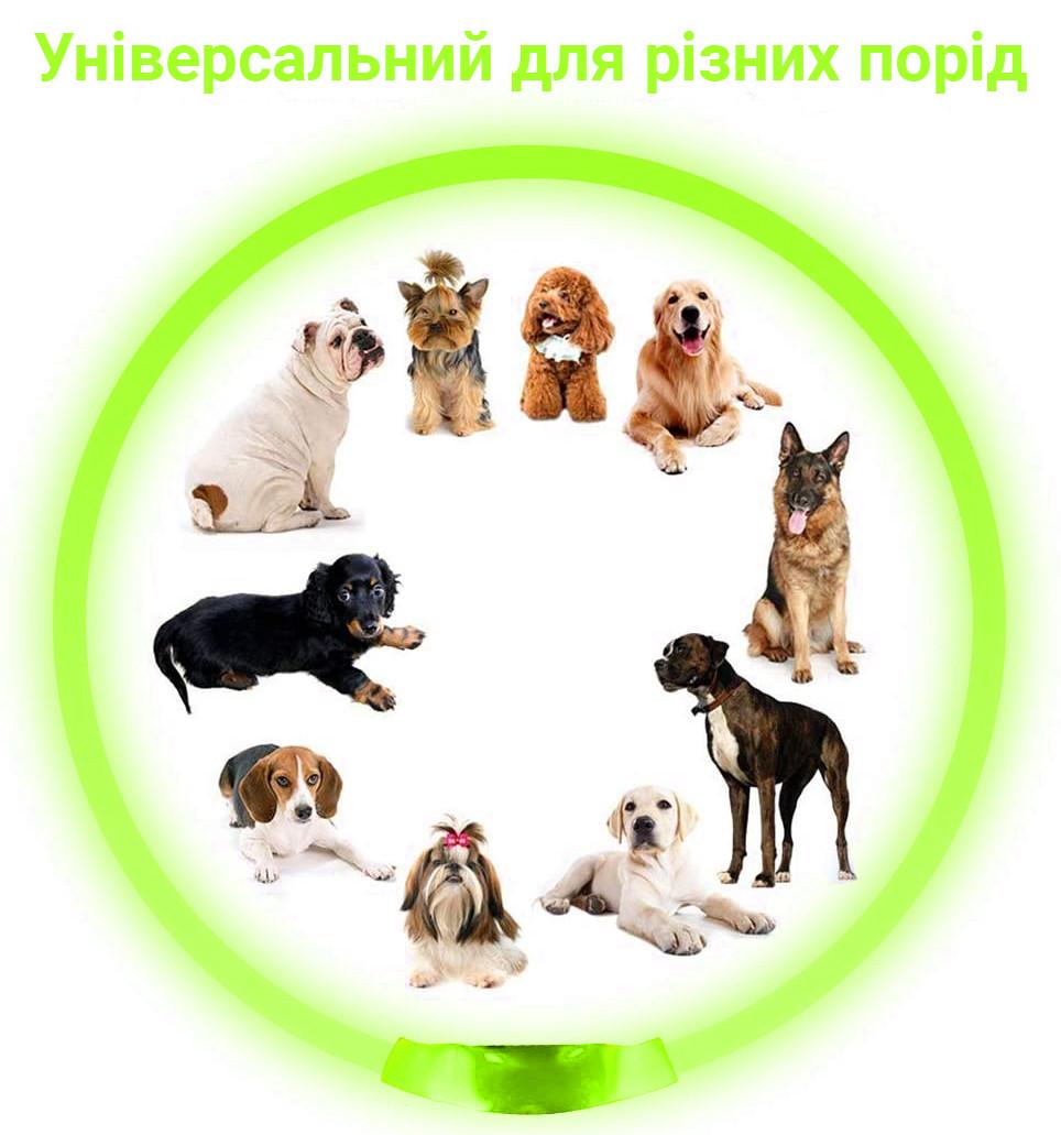 Ошейник iPets LC-01 с LED свечением L Зеленый - фото 7 Ошейник iPets LC-01 с LED свечением L Зеленый - фото 7