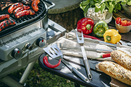 Набір приладів для барбекю гриль Adler AD 6730 в поліестеровому футлярі (03711) - фото 15 Набір приладів для барбекю гриль Adler AD 6730 в поліестеровому футлярі (03711) - фото 15