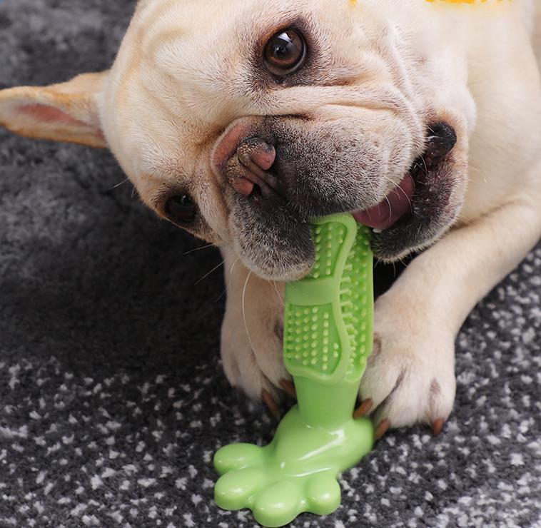 Іграшка для чищення зубів для собак 11503 12,6х9х4 см Зелений (4570272) - фото 2 Іграшка для чищення зубів для собак 11503 12,6х9х4 см Зелений (4570272) - фото 2