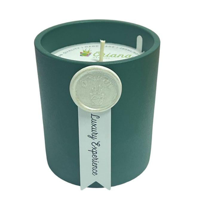 Ароматическая свеча Flora Luxury Experience соевая в керамическом кашпо крошка (10960) Ароматическая свеча Flora Luxury Experience соевая в керамическом кашпо крошка (10960)