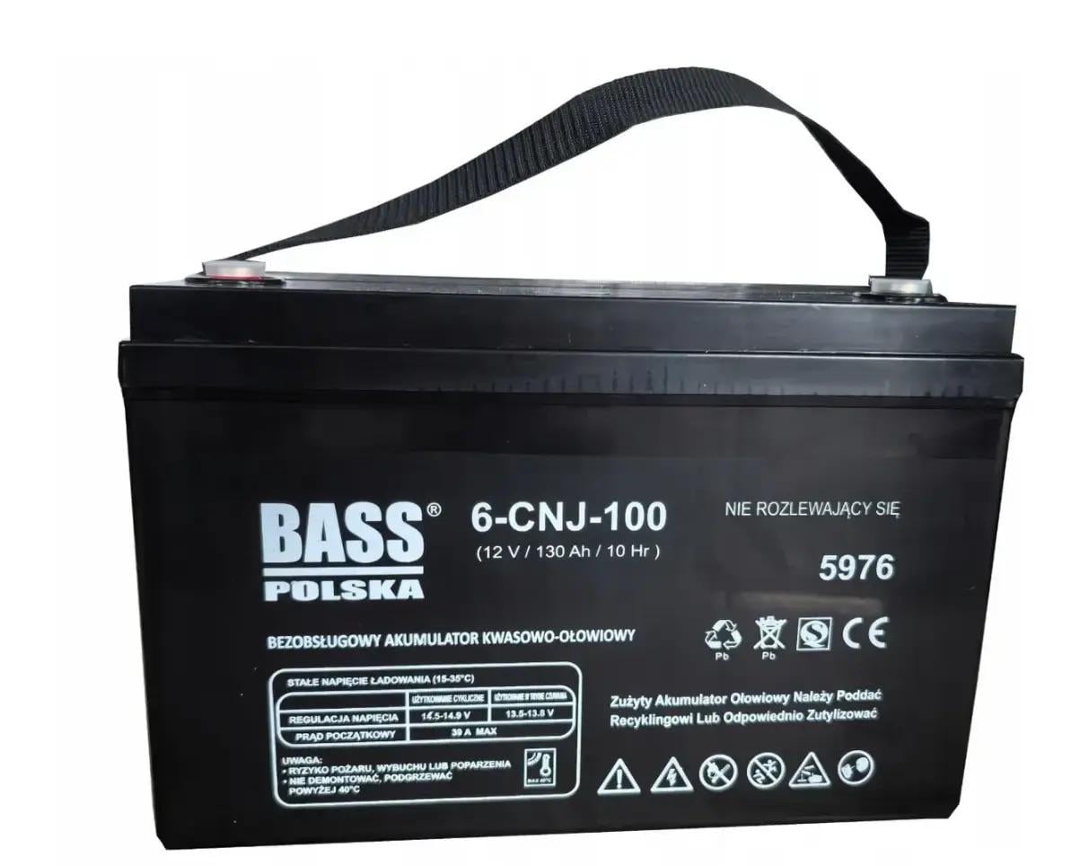 Аккумулятор для ИБПVRLA AGM 12V100Ah (5975)