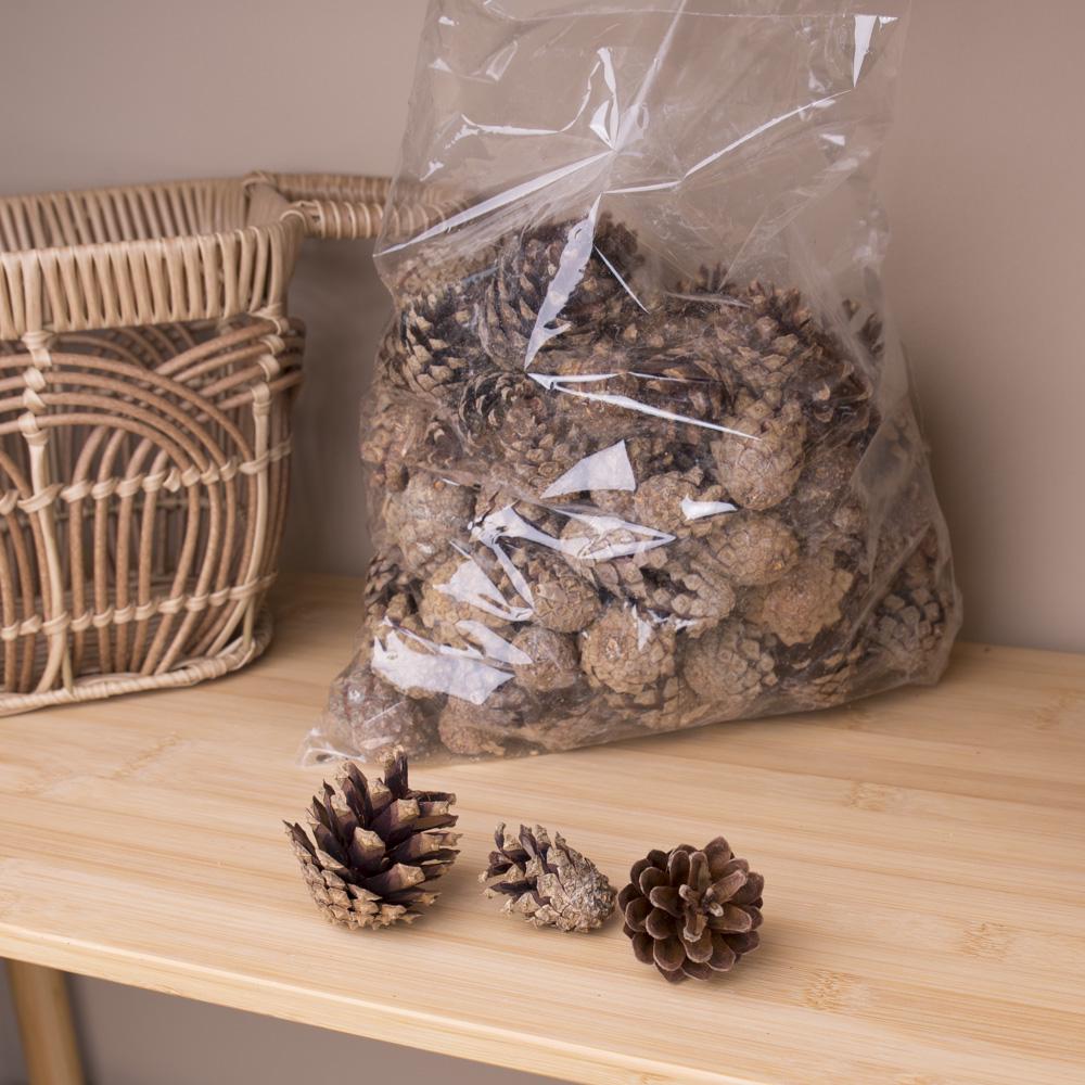 Шишки сосновые 500 г (1977)