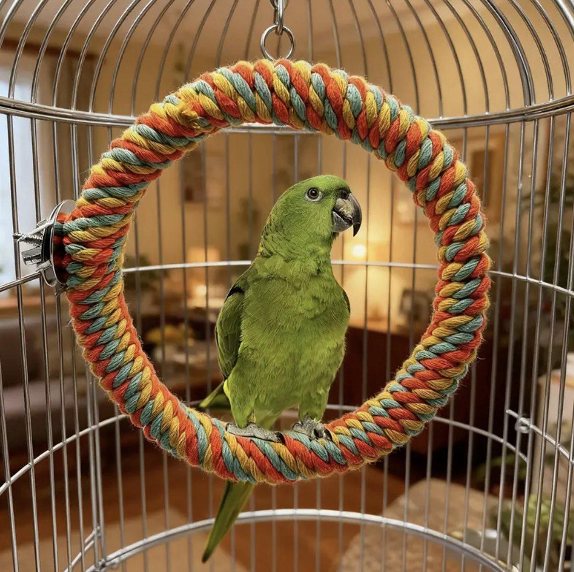 Стійка для папуг кругла DIPSY 15 см Різнокольоровий (30274644) - фото 2 Стійка для папуг кругла DIPSY 15 см Різнокольоровий (30274644) - фото 2