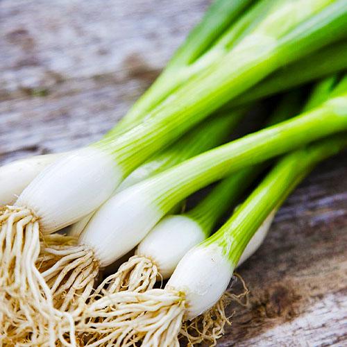 Насіння Цибуля Florium Батун Квітневий (12313)