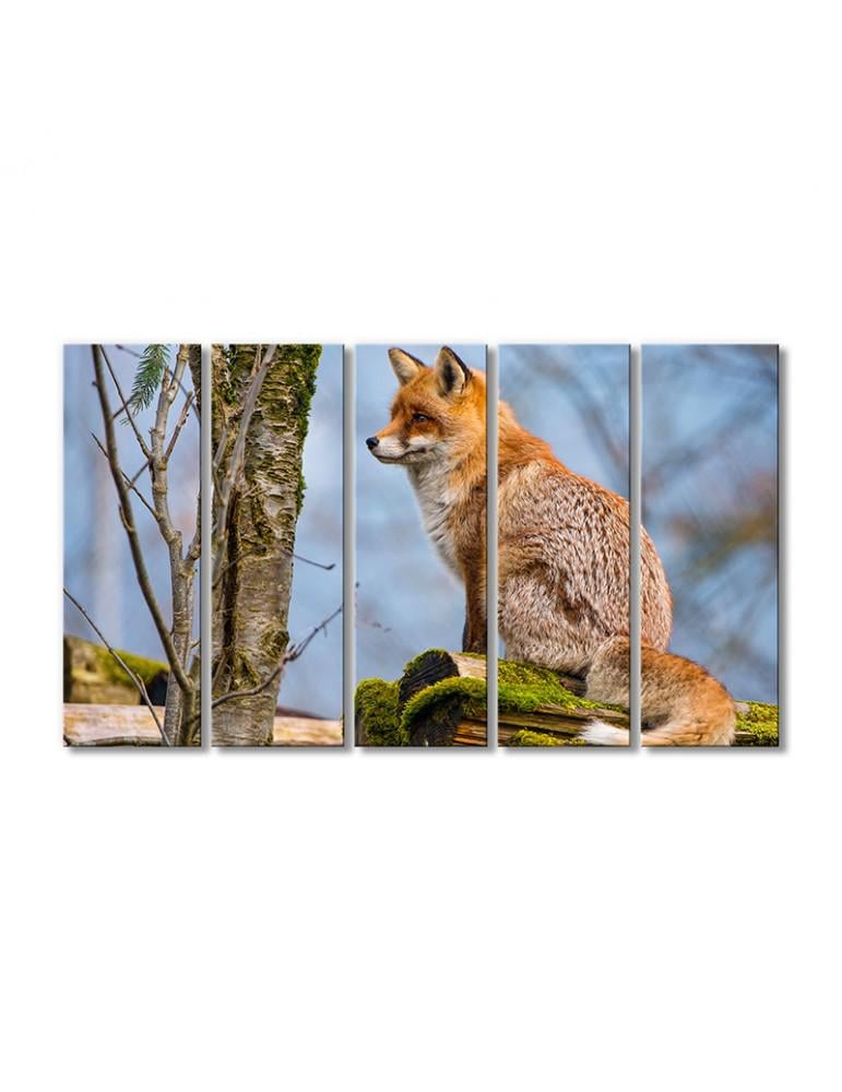 Картина модульная Пушистый лисенок ждет 5 модулей 80x120 см Картина модульная Пушистый лисенок ждет 5 модулей 80x120 см