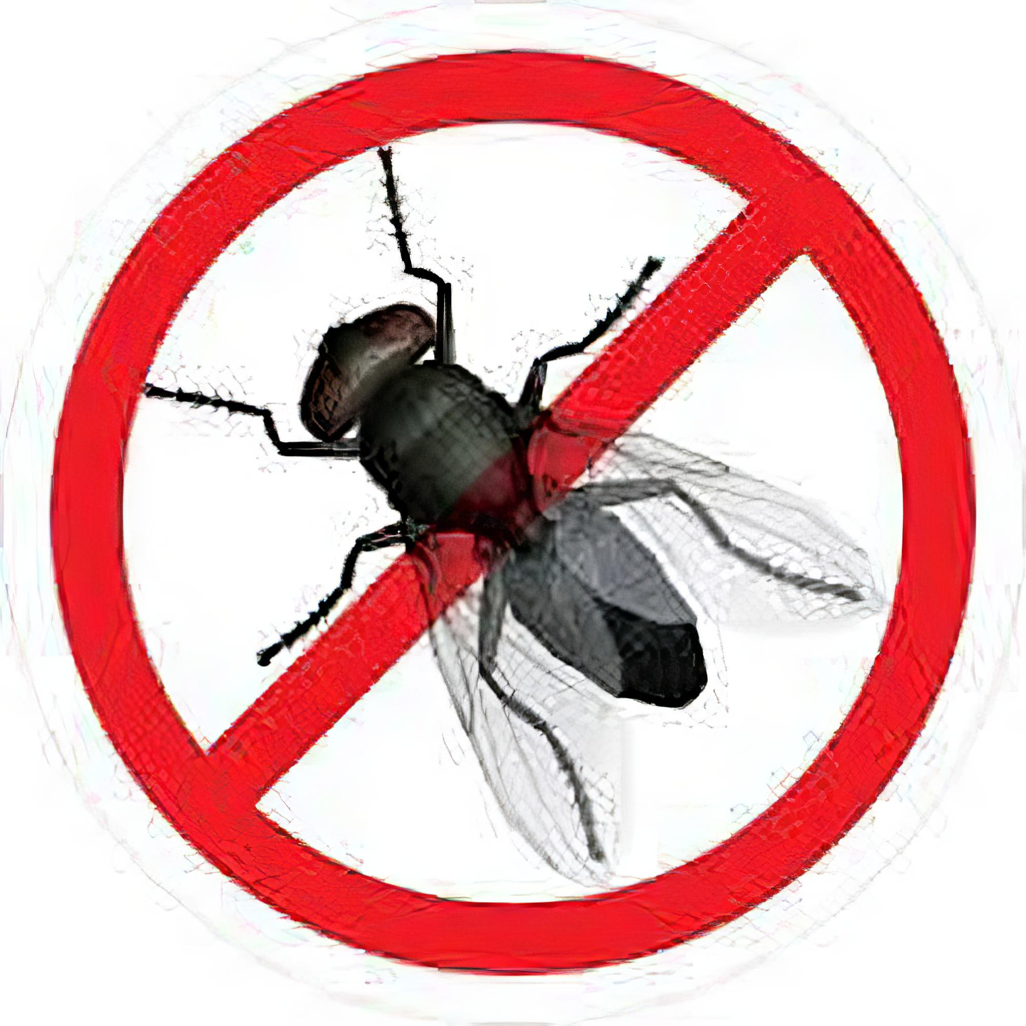 Засіб від мух Fly Repellent Granules Відлякувач 1/100 концентрат спрей 100 мл (2690192)