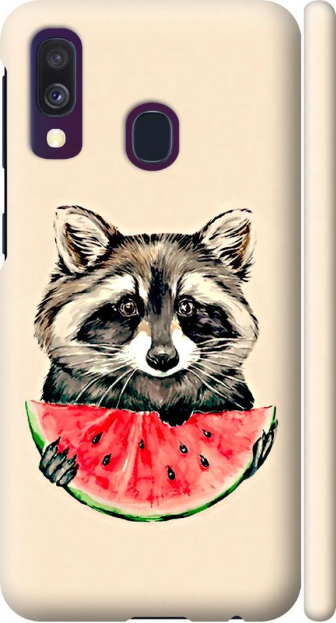 Чехол на Samsung Galaxy A40 2019 A405F Енотик с арбузом (4605m-1672-42517)