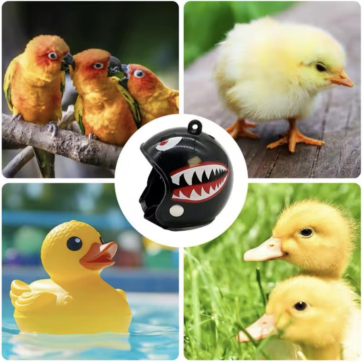 Шлем для кур Super Speed Shark (4324232323) - фото 3 Шлем для кур Super Speed Shark (4324232323) - фото 3