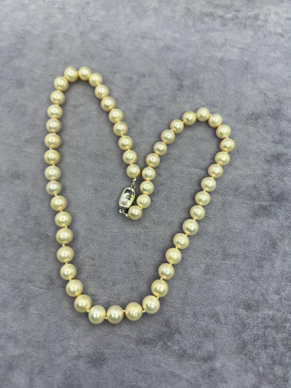 Бусы жемчуг 42 см Белый (10697)