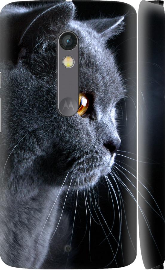 Чехол на Motorola Moto X Play Красивый кот (3038c-459-42517)