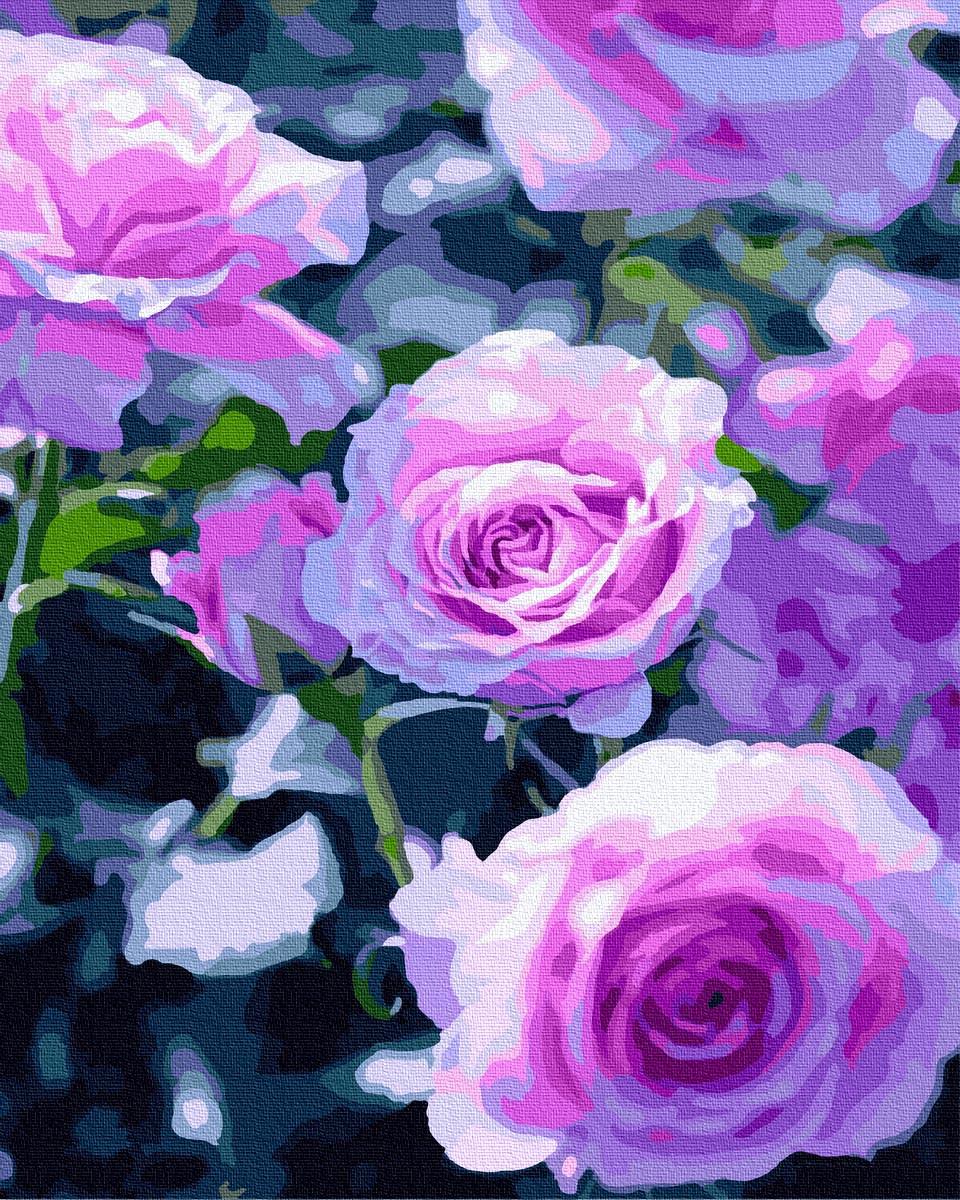 Картина по номерам Садовые розы (gX7517)