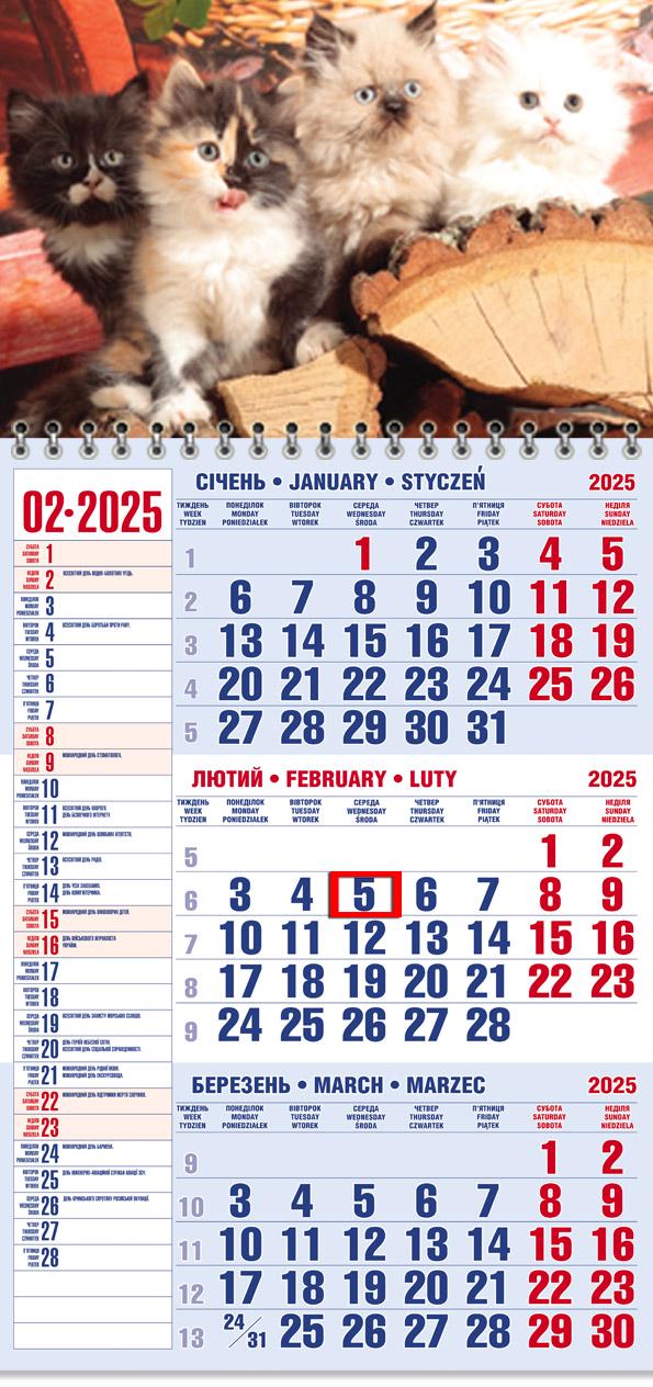 Календар на 2025 р. Офісний 1 Муркотіння чотирьох Календар на 2025 р. Офісний 1 Муркотіння чотирьох