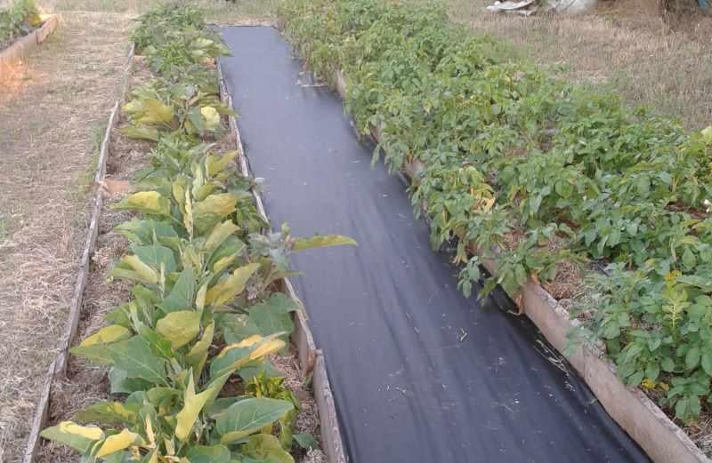 Геотекстиль GARDEN FLORA П-110 3,2x25 м Чорний (25244719) - фото 4 Геотекстиль GARDEN FLORA П-110 3,2x25 м Чорний (25244719) - фото 4