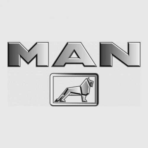 Стикер Man logo and lion 30x14,5 см Серебряный (21562301)