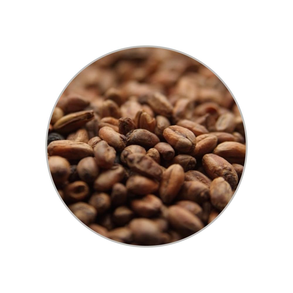 Солод карамельний Carawheat EBC 110-140 1 кг Солод карамельний Carawheat EBC 110-140 1 кг